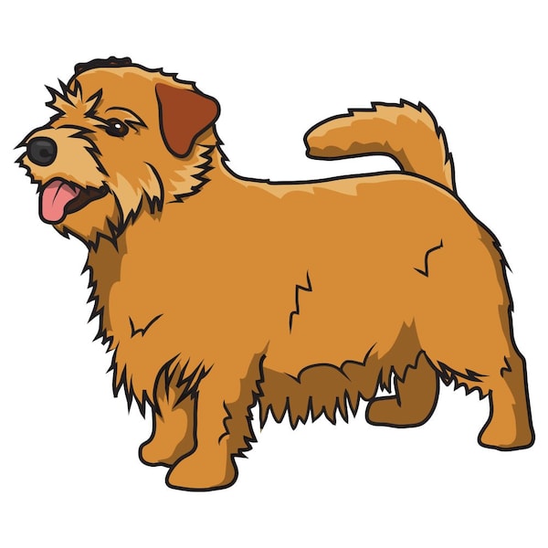 Signmission Norfolk Terrier Dog Decal, Dog Lover Decor Vinyl Sticker D-12-Norfolk Terrier - main